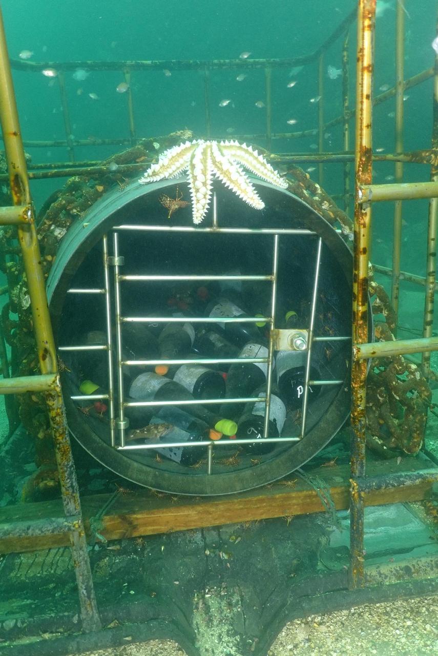 Cava Submarina